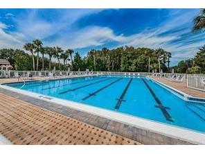 3521 Teeside Drive New Port Richey FL 34655 TB8491612 image71