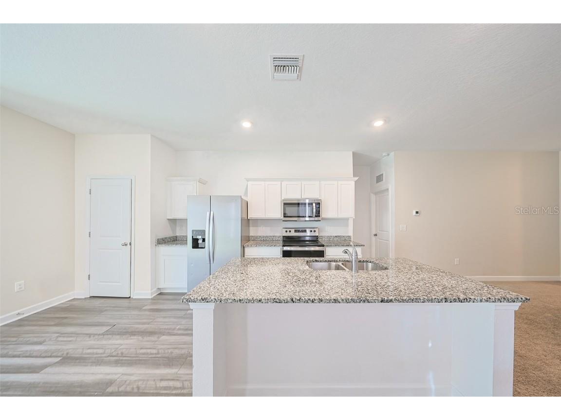 35210 Daisy Meadow Loop Zephyrhills FL 33541 TB8440396 image11