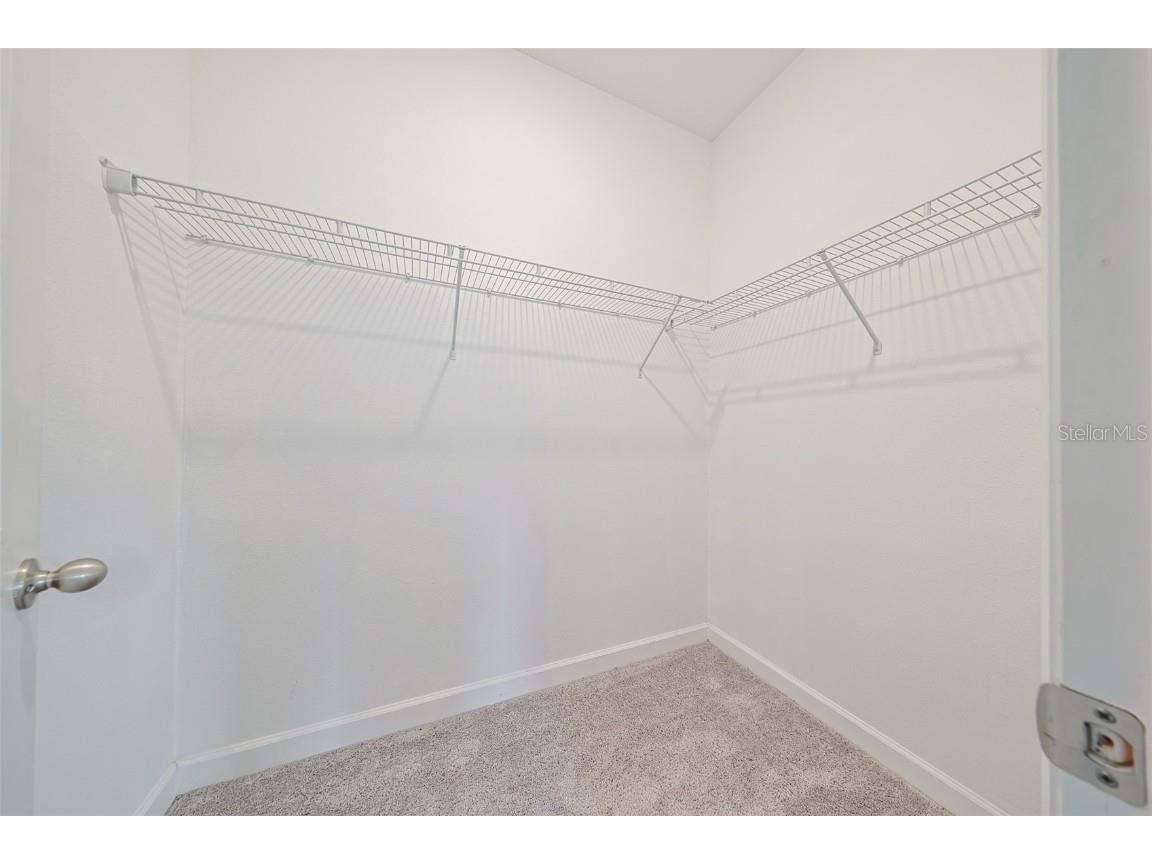 35210 Daisy Meadow Loop Zephyrhills FL 33541 TB8440396 image19