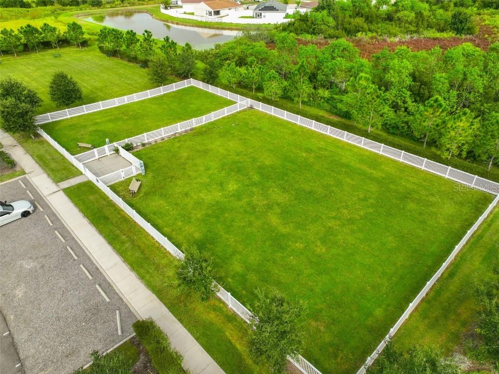 35210 Daisy Meadow Loop Zephyrhills FL 33541 TB8440396 image31