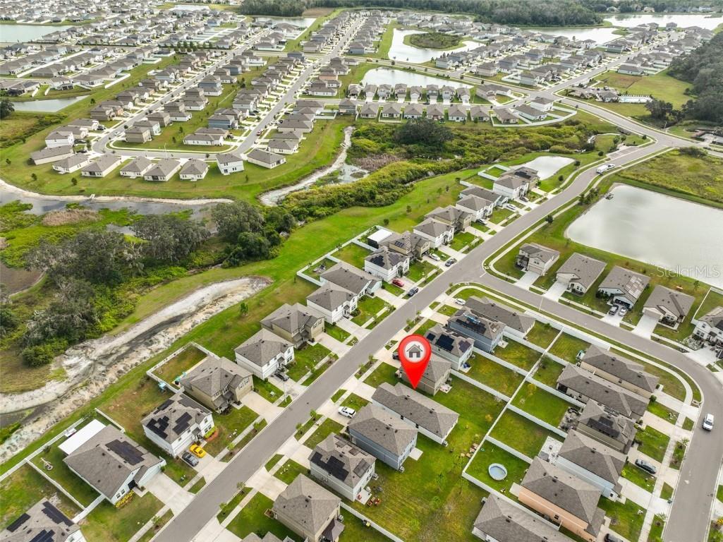 35210 Daisy Meadow Loop Zephyrhills FL 33541 TB8440396 image36