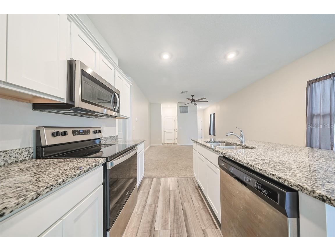 35210 Daisy Meadow Loop Zephyrhills FL 33541 TB8440396 image4