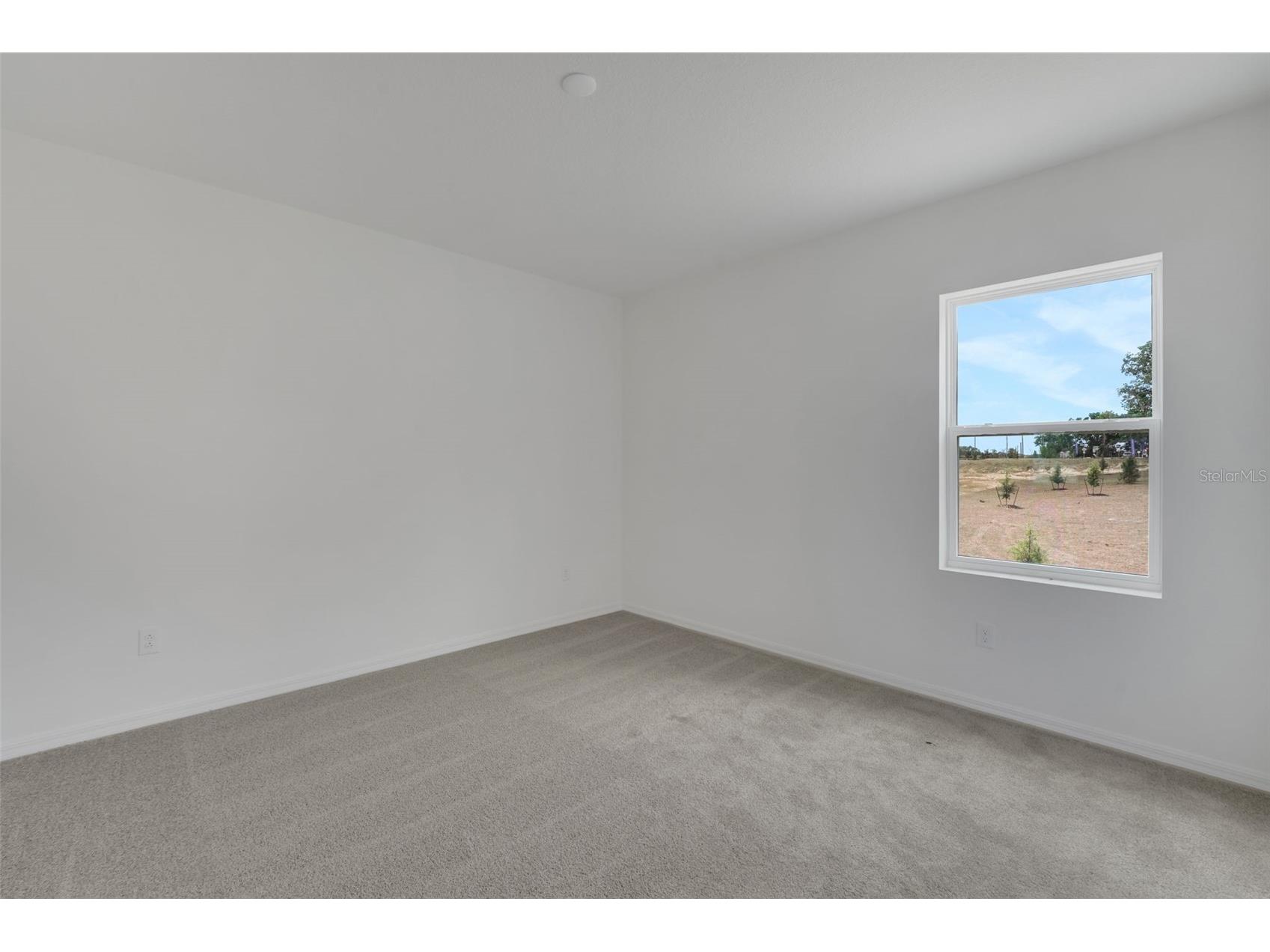 35215 Tuscan Hill Road Dade City FL 33525 G5105594 image38