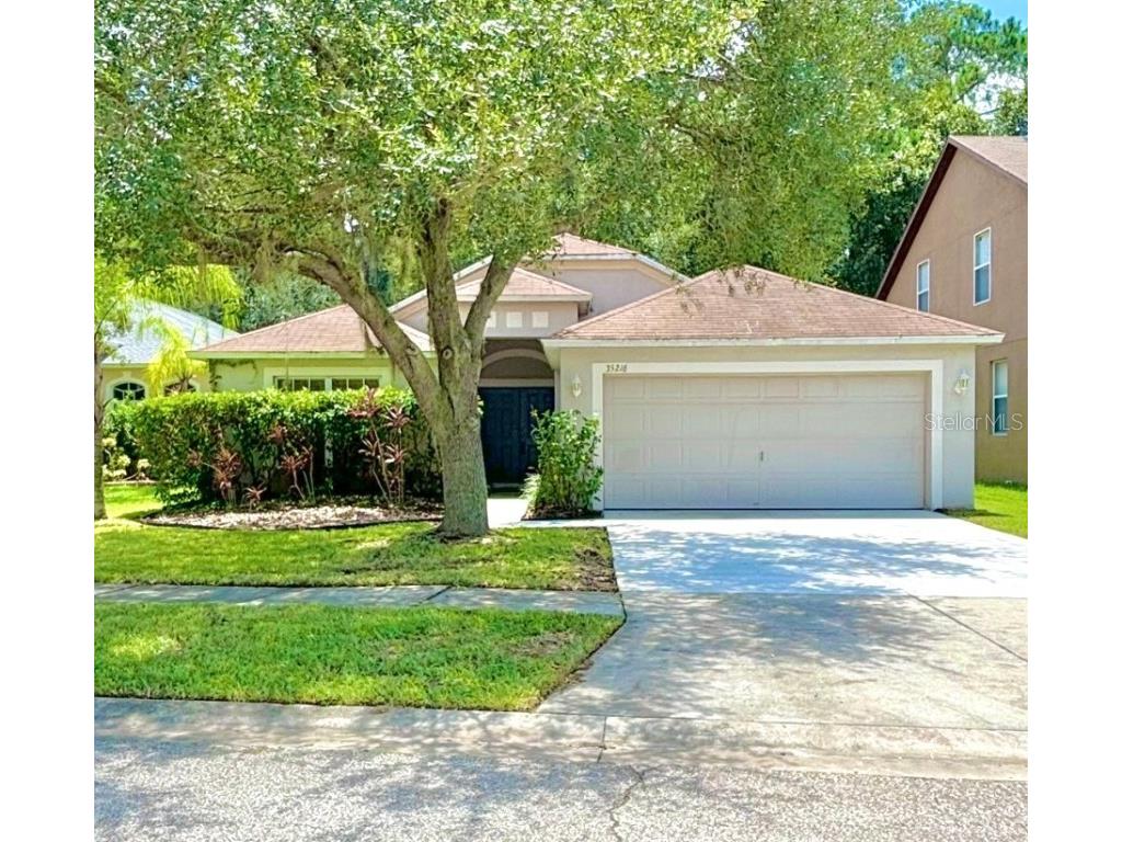 35216 Meadow Reach Drive Zephyrhills FL 33541 OM681295 image1