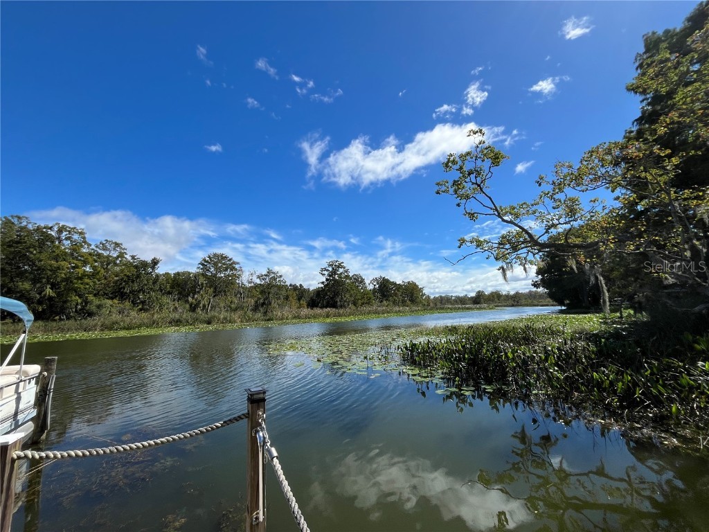 35219 Haines Creek Road Leesburg FL 34788 - HAINES CREEK AND LAKE EUSTIS G5098175 image60