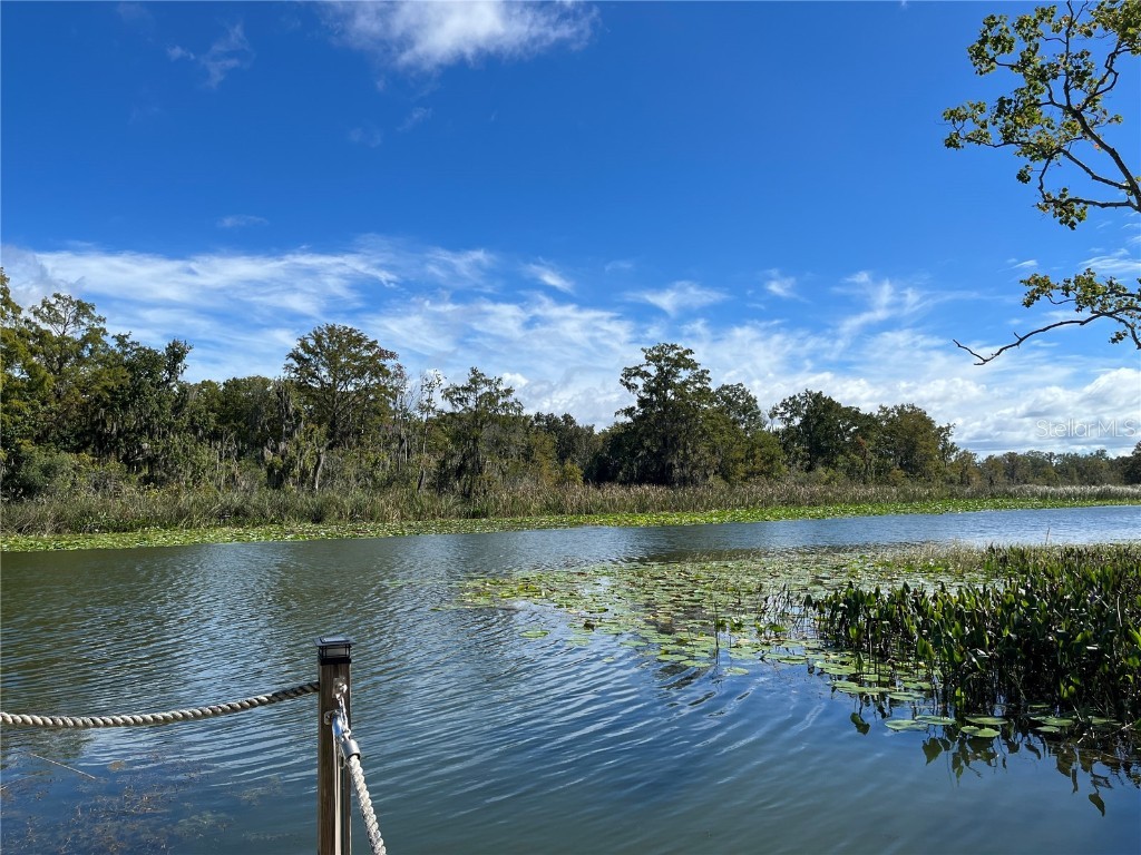 35219 Haines Creek Road Leesburg FL 34788 - HAINES CREEK AND LAKE EUSTIS G5098175 image61