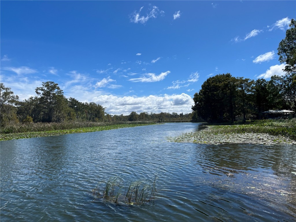 35219 Haines Creek Road Leesburg FL 34788 - HAINES CREEK AND LAKE EUSTIS G5098175 image63