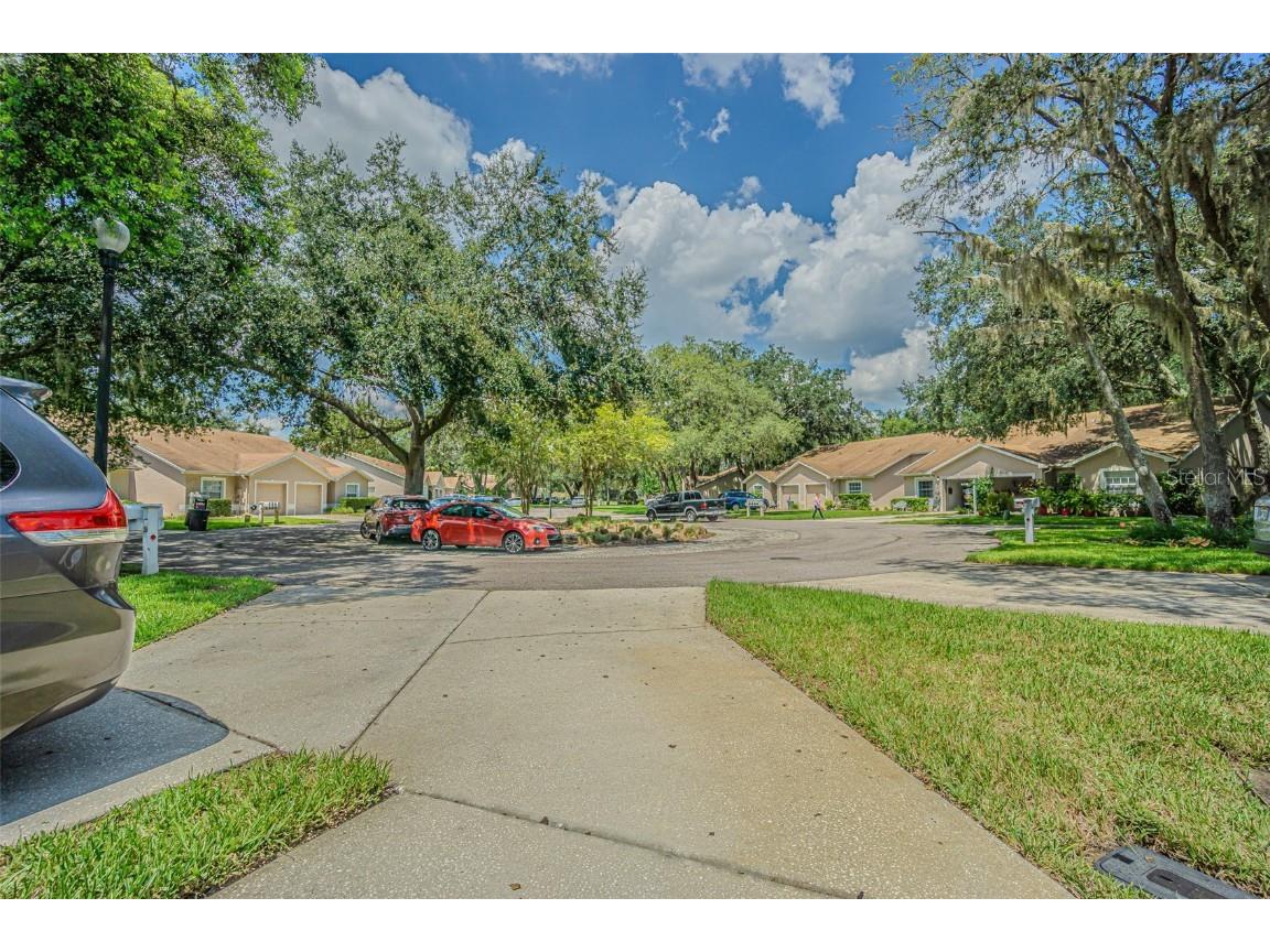 35219 Janine Drive Zephyrhills FL 33541 TB8406562 image39