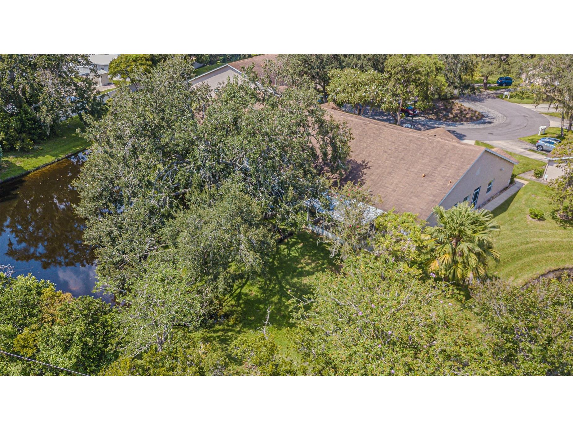 35219 Janine Drive Zephyrhills FL 33541 TB8406562 image44