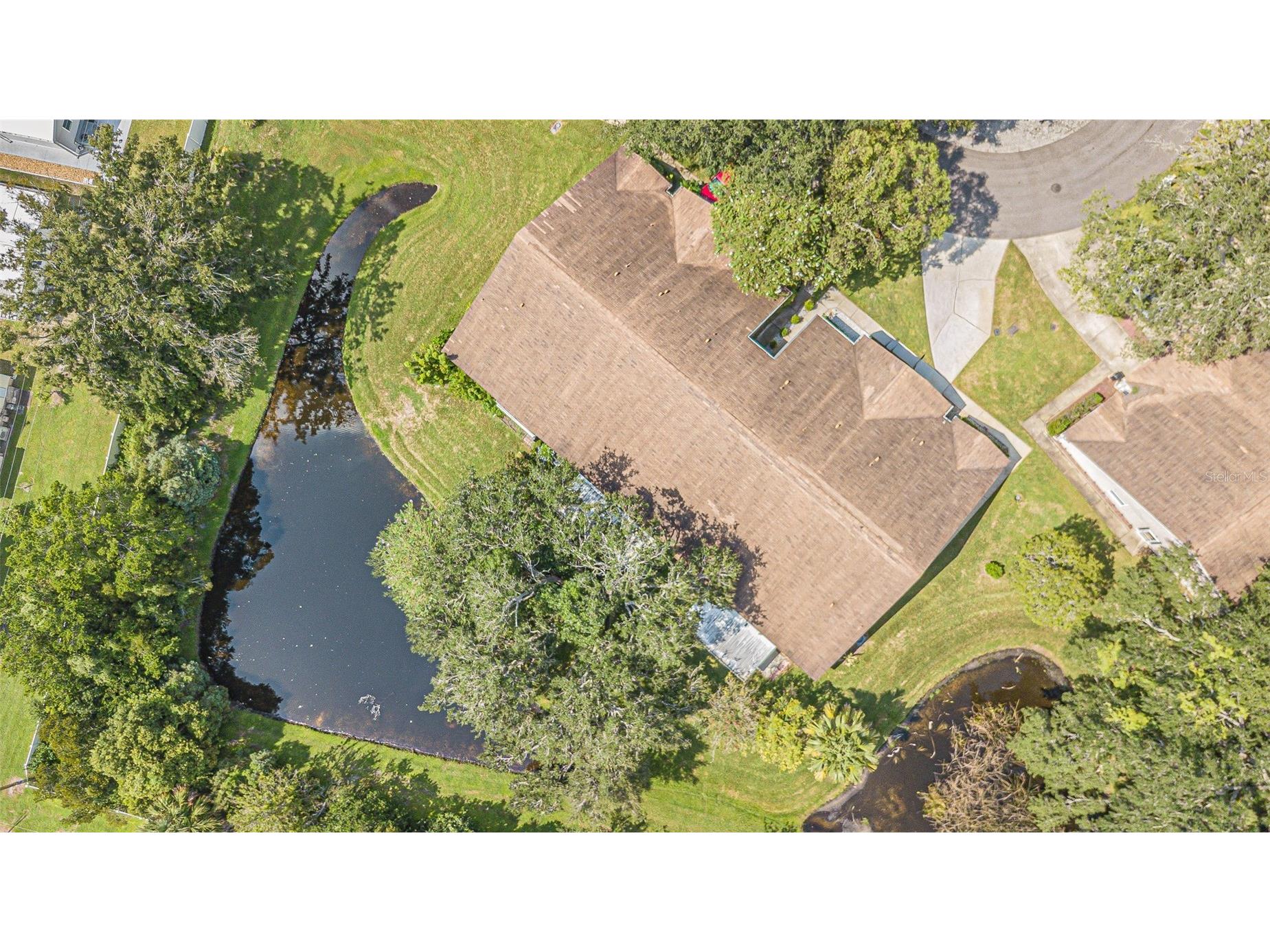 35219 Janine Drive Zephyrhills FL 33541 TB8406562 image46