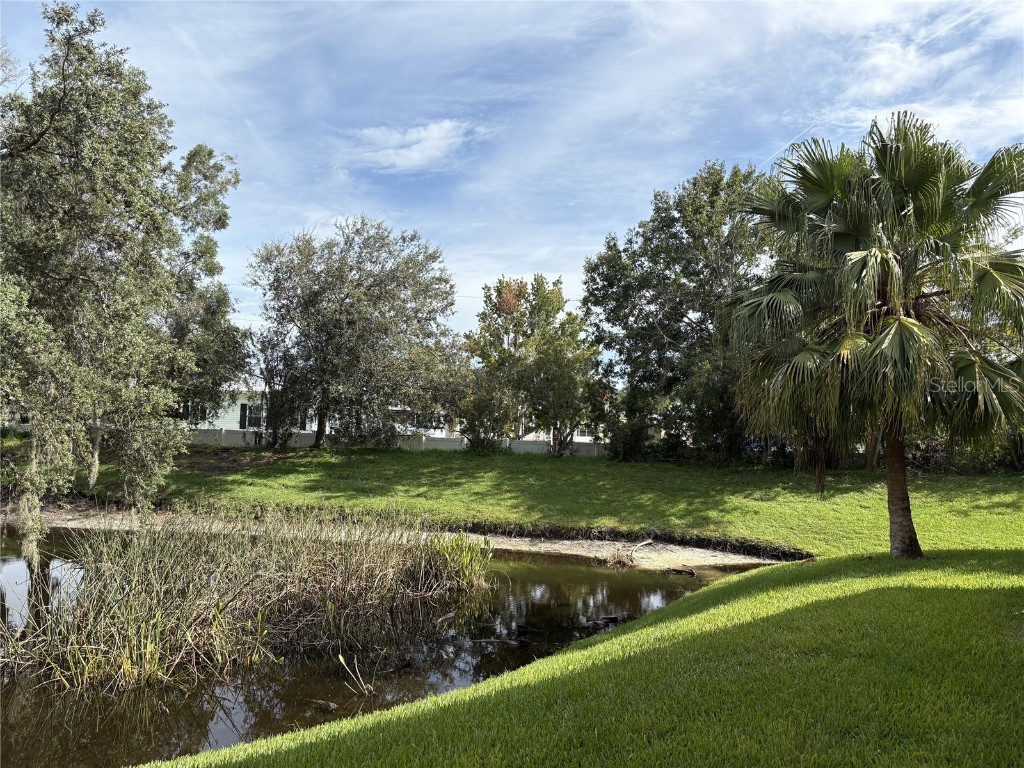 35219 Janine Drive Zephyrhills FL 33541 TB8406562 image5