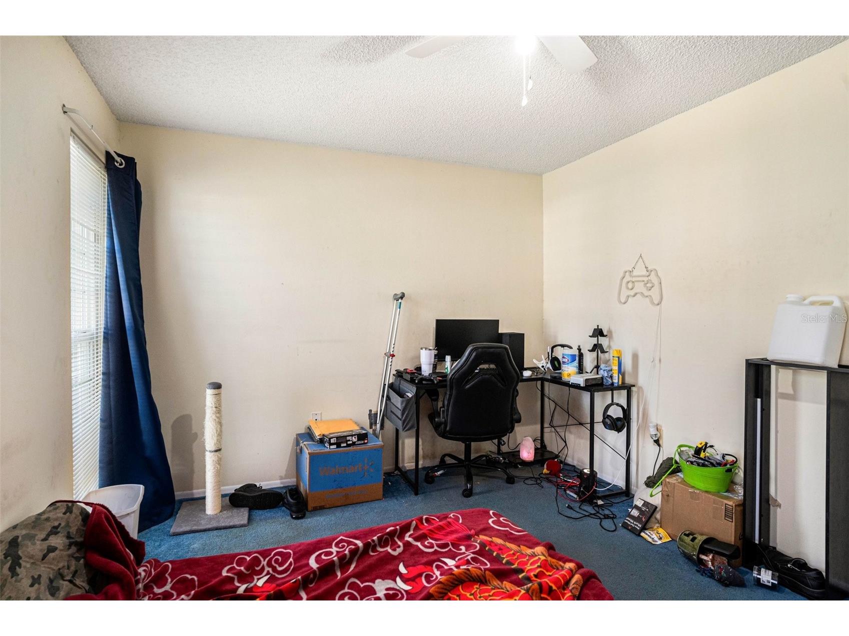 3522 Dellefield Street New Port Richey FL 34655 TB8484950 image10