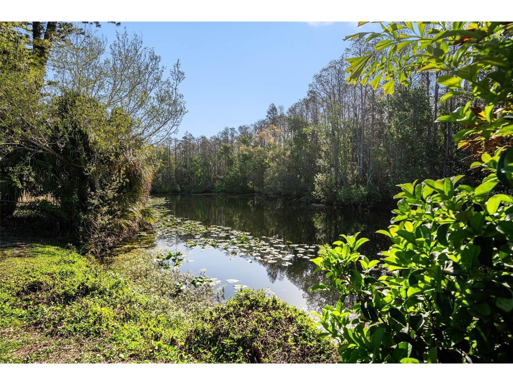 3522 Dellefield Street New Port Richey FL 34655 TB8484950 image13