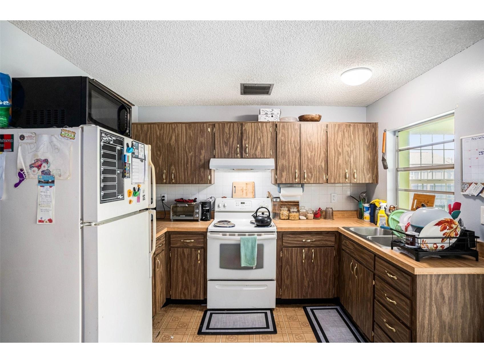 3522 Dellefield Street New Port Richey FL 34655 TB8484950 image3