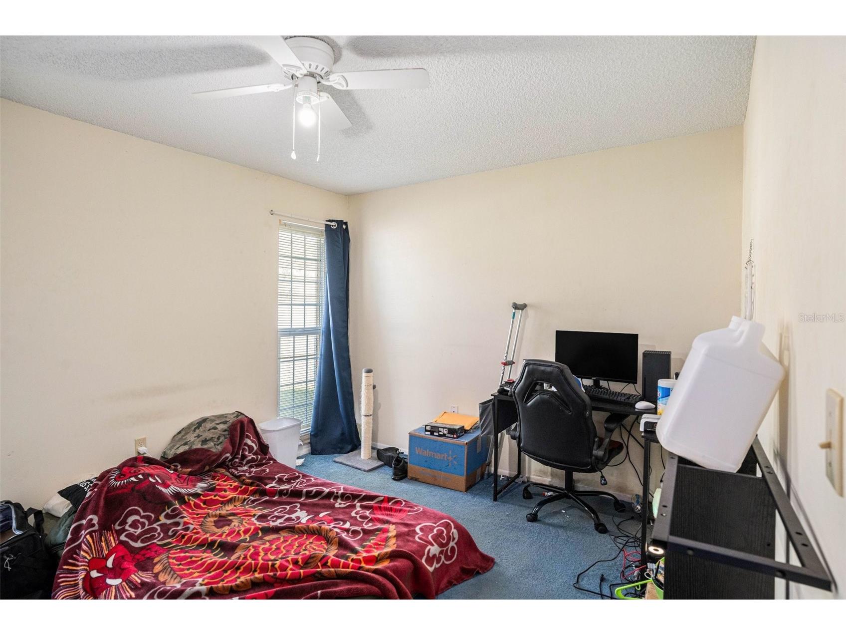 3522 Dellefield Street New Port Richey FL 34655 TB8484950 image9