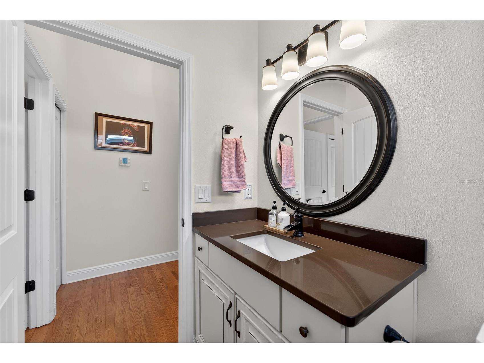 3522 Fox Squirrel Lane Valrico FL 33596 TB8470571 image51