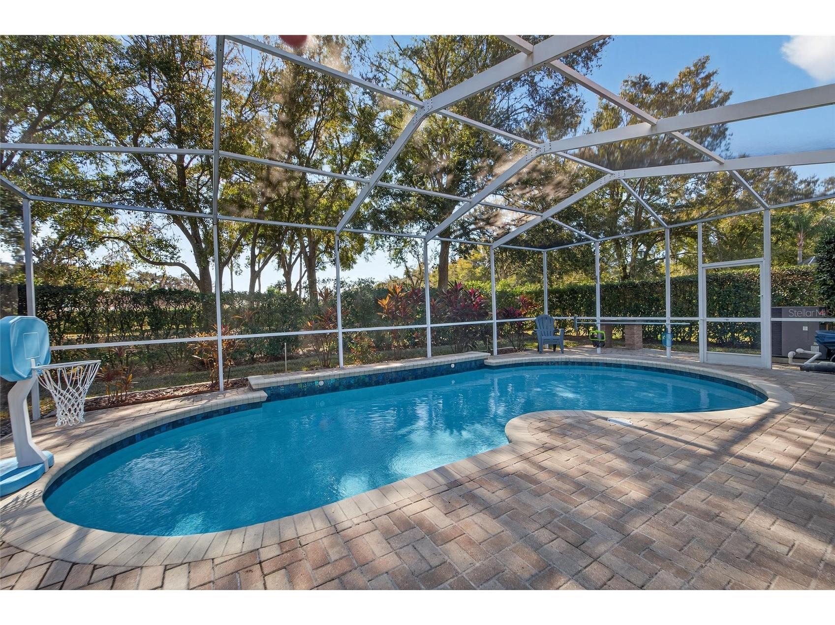 3522 Fox Squirrel Lane Valrico FL 33596 TB8470571 image60