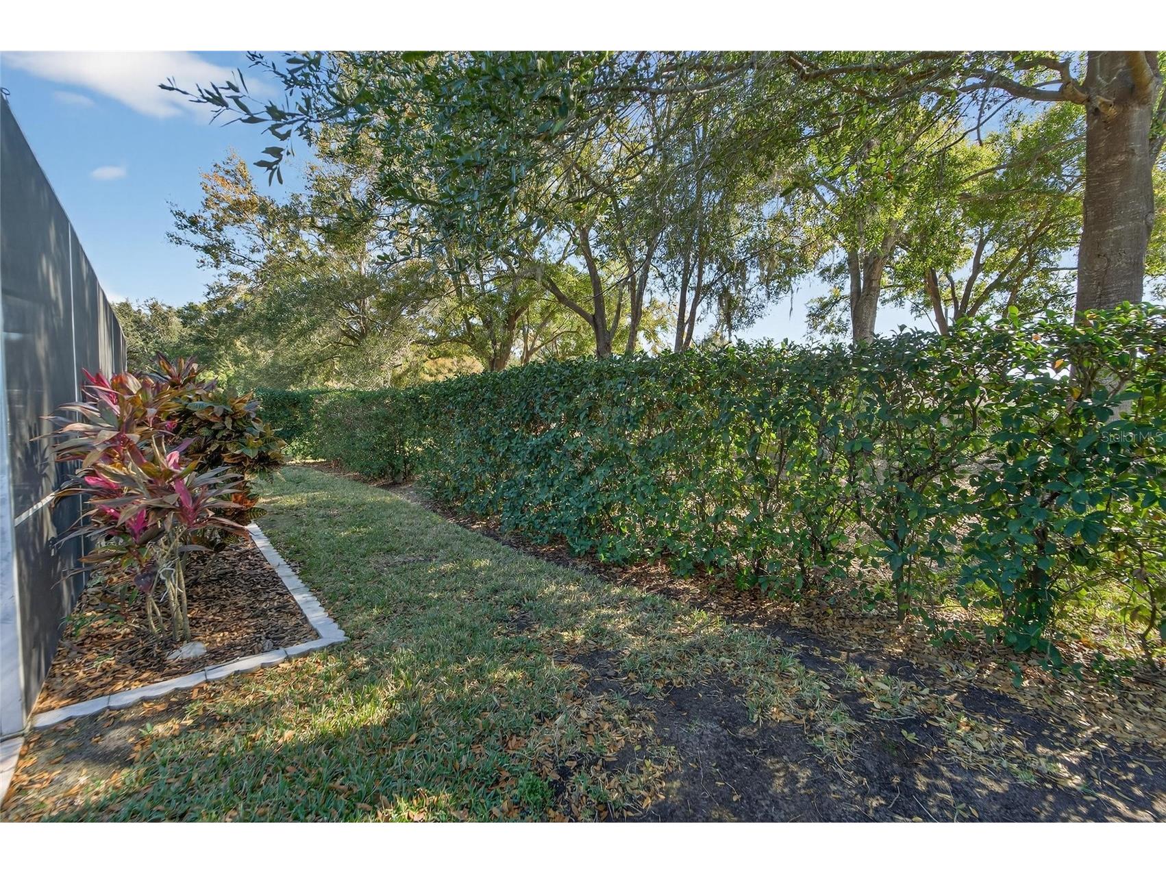 3522 Fox Squirrel Lane Valrico FL 33596 TB8470571 image65