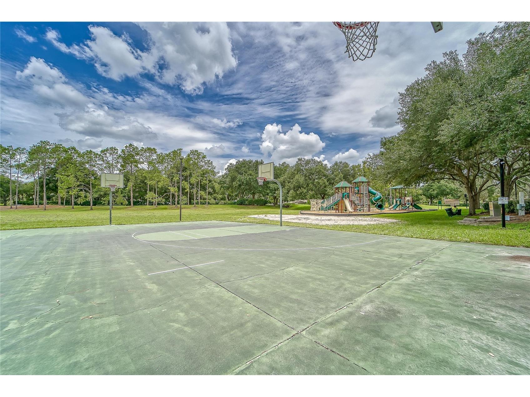 3522 Fox Squirrel Lane Valrico FL 33596 TB8470571 image71