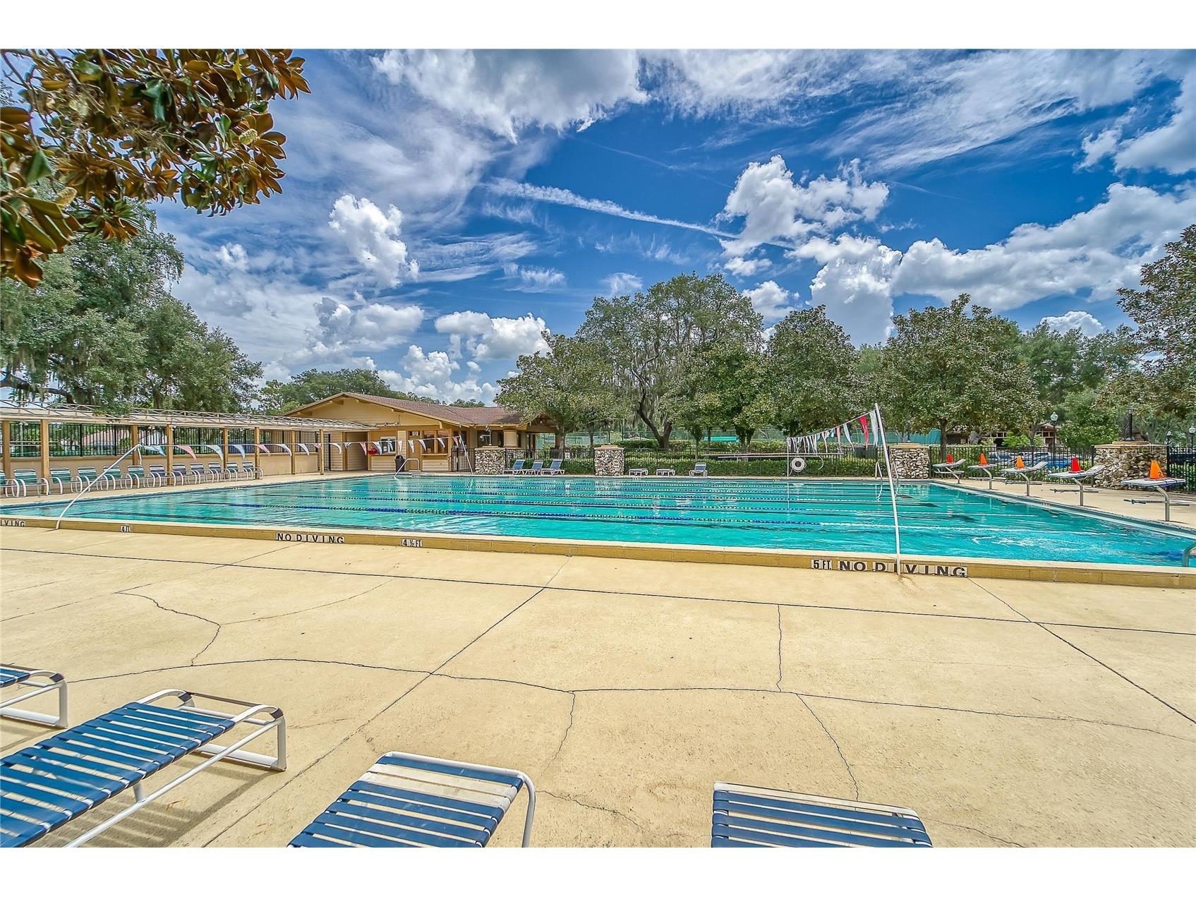 3522 Fox Squirrel Lane Valrico FL 33596 TB8470571 image73
