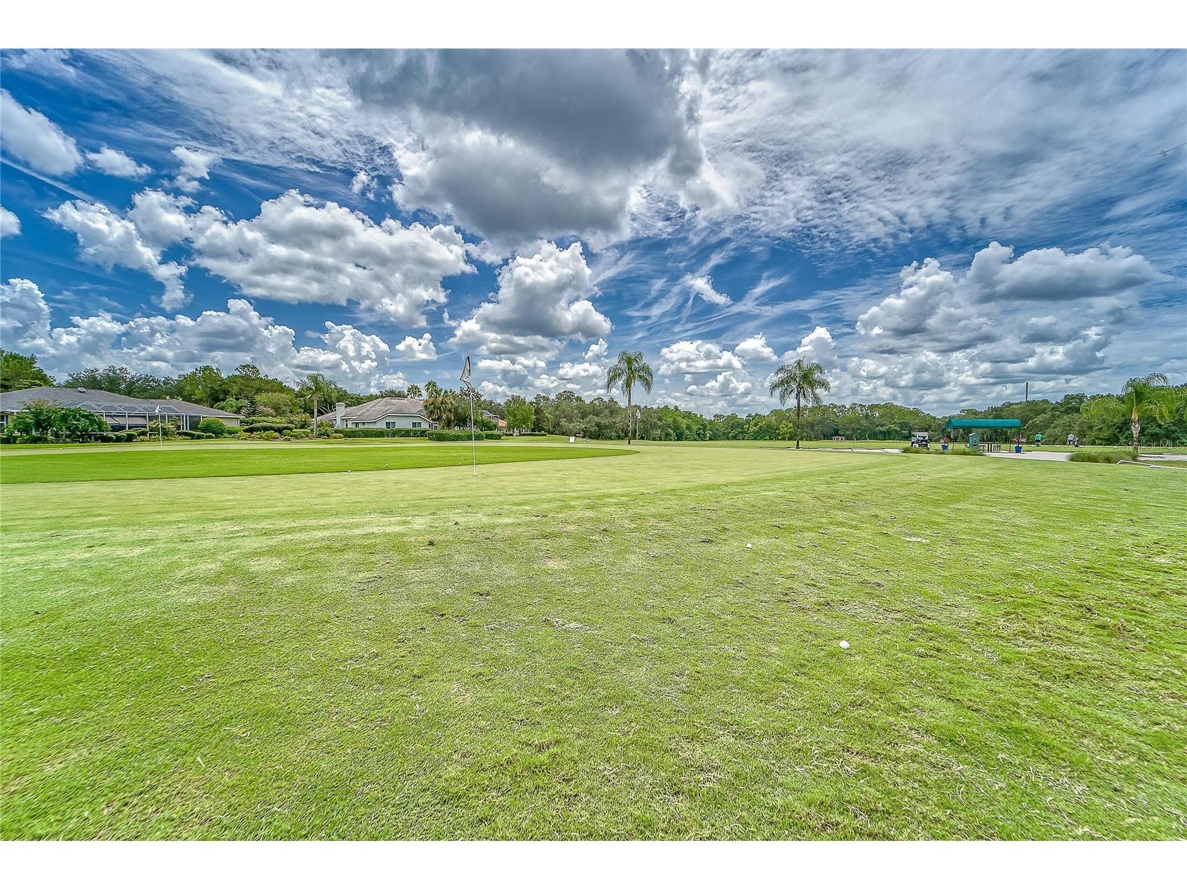 3522 Fox Squirrel Lane Valrico FL 33596 TB8470571 image75