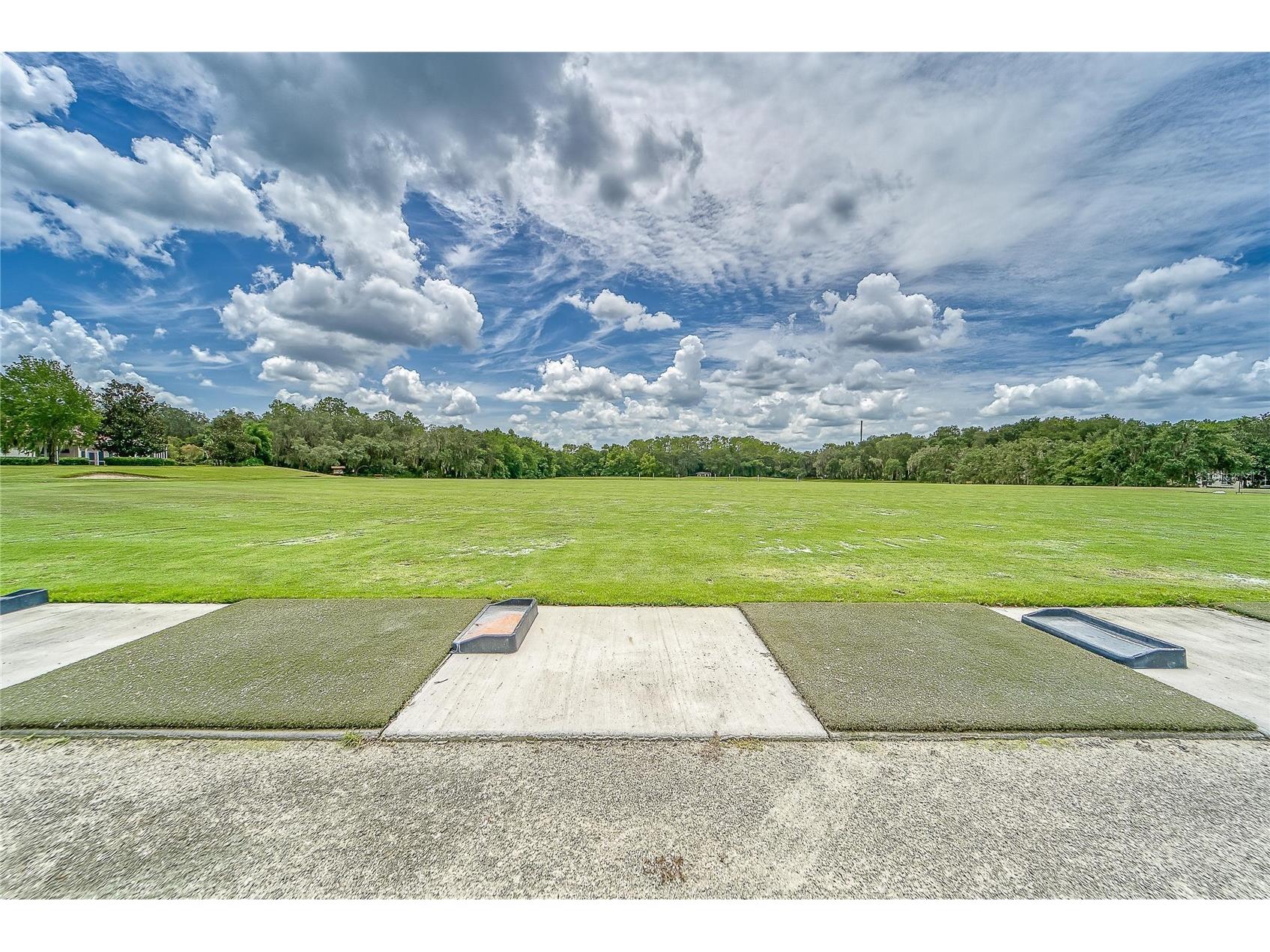 3522 Fox Squirrel Lane Valrico FL 33596 TB8470571 image76