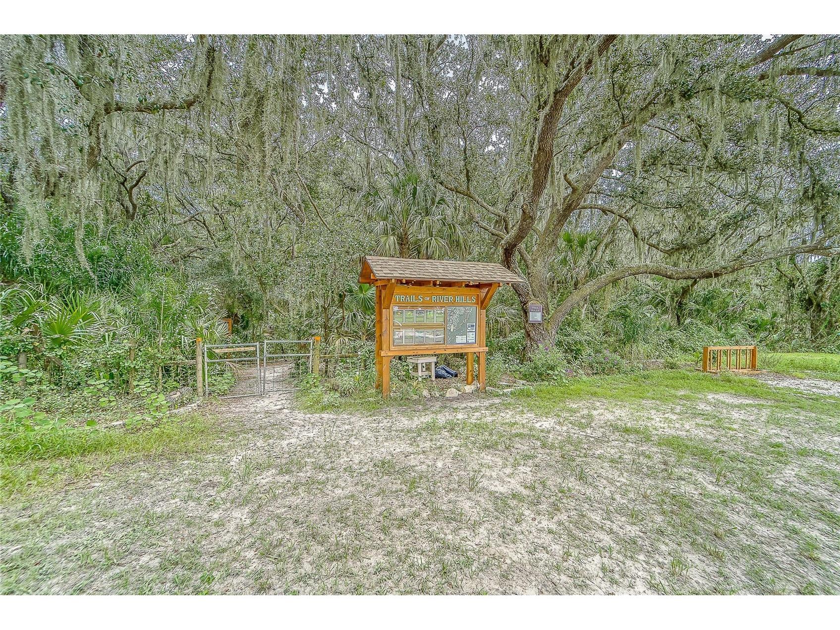 3522 Fox Squirrel Lane Valrico FL 33596 TB8470571 image77