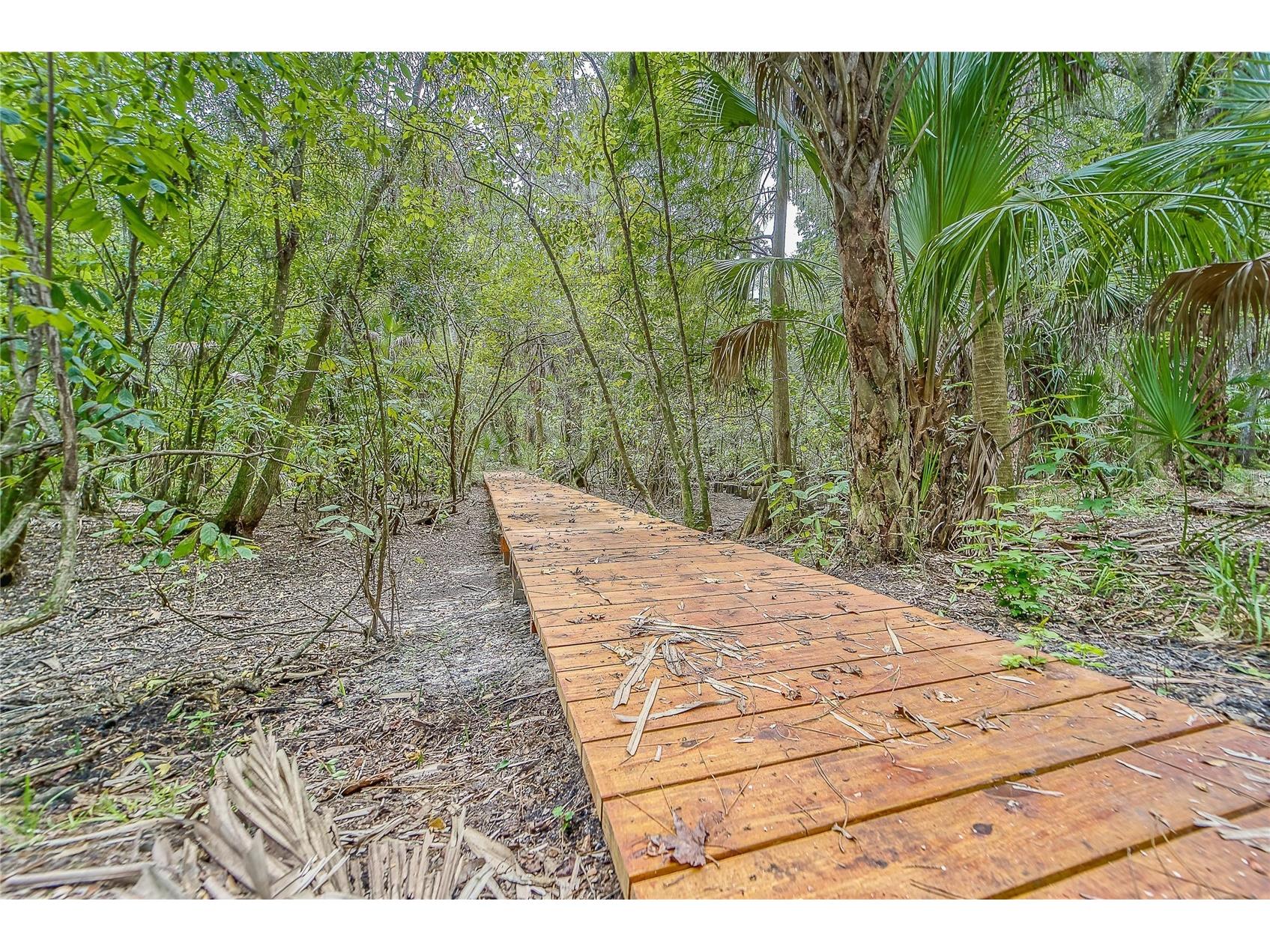 3522 Fox Squirrel Lane Valrico FL 33596 TB8470571 image78