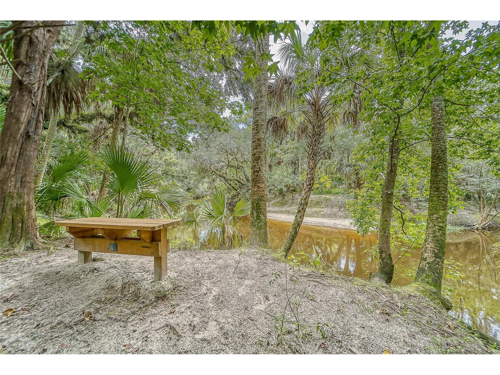 3522 Fox Squirrel Lane Valrico FL 33596 TB8470571 image79