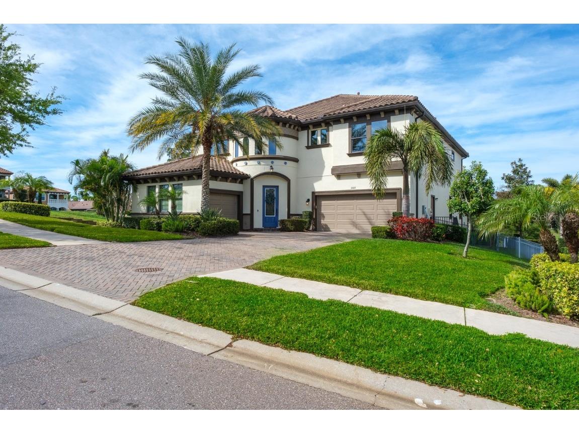 3522 Galleria Avenue Palm Harbor FL 34683 U8234473 image1