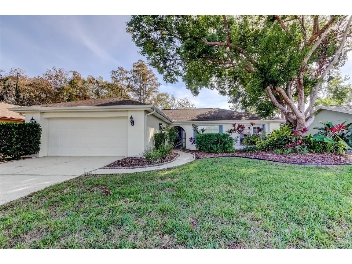 3522 Player Drive New Port Richey FL 34655 W7881092 image1