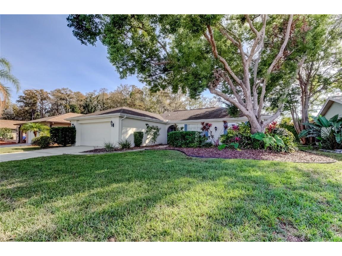 3522 Player Drive New Port Richey FL 34655 W7881092 image2