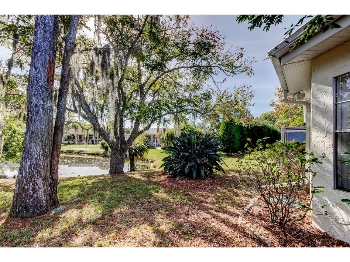 3522 Player Drive New Port Richey FL 34655 W7881092 image42