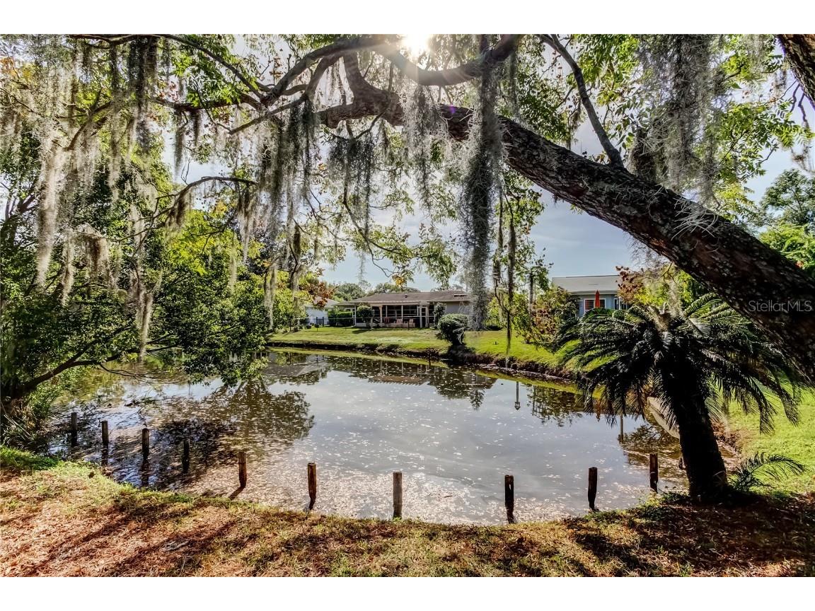 3522 Player Drive New Port Richey FL 34655 W7881092 image43