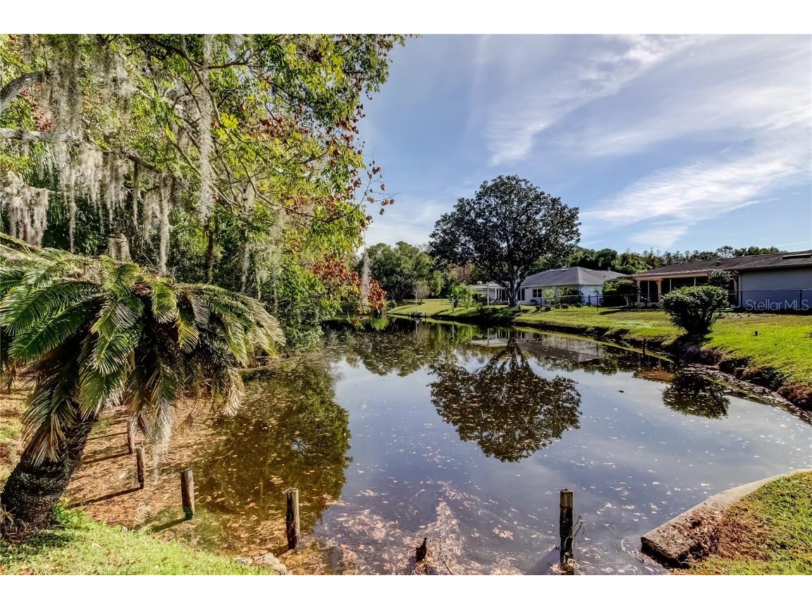 3522 Player Drive New Port Richey FL 34655 W7881092 image45