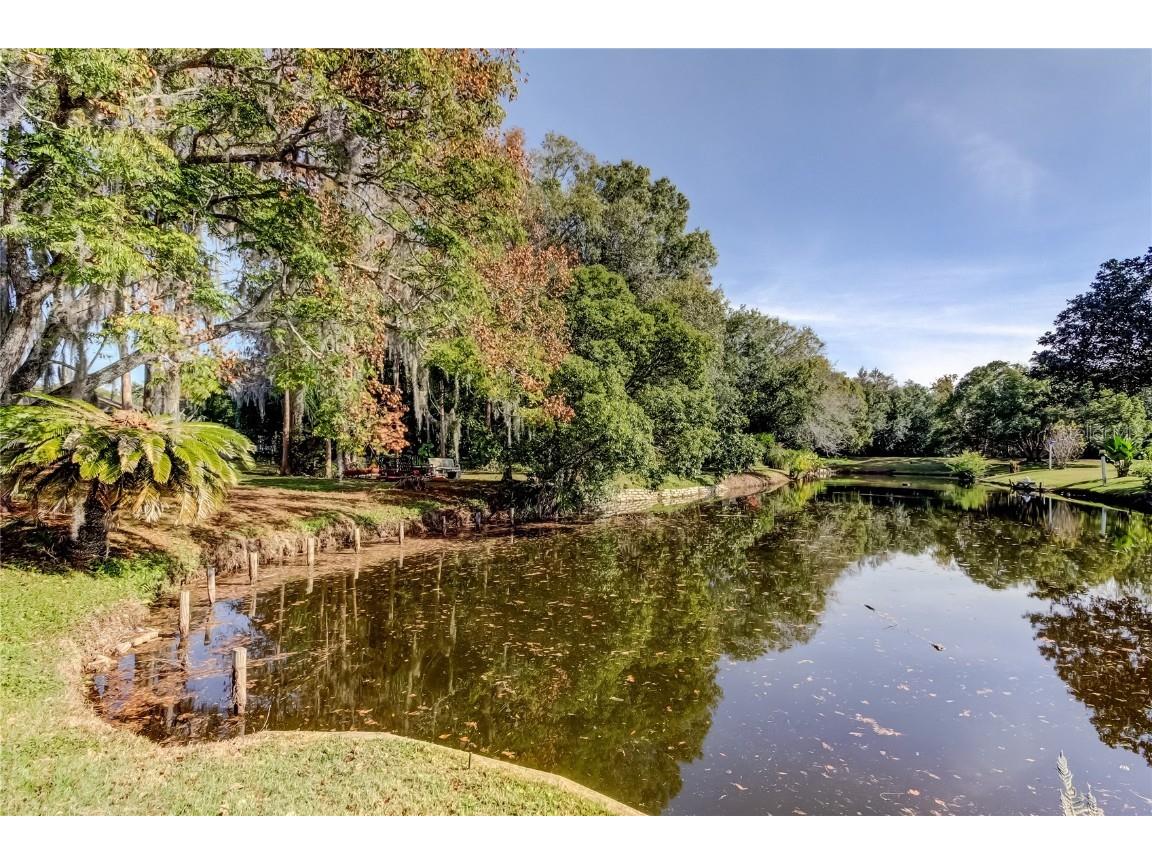 3522 Player Drive New Port Richey FL 34655 W7881092 image46