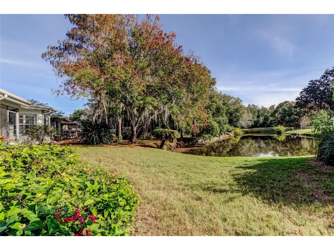 3522 Player Drive New Port Richey FL 34655 W7881092 image48