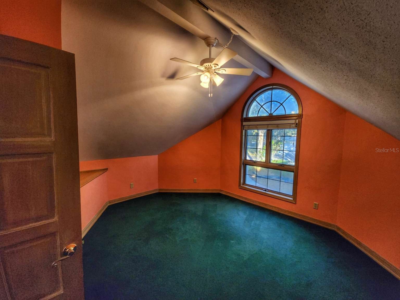 3522 Shoreline Circle Palm Harbor FL 34684 TB8467469 image50