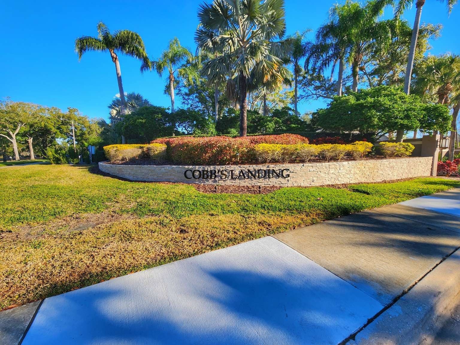 3522 Shoreline Circle Palm Harbor FL 34684 TB8467469 image65