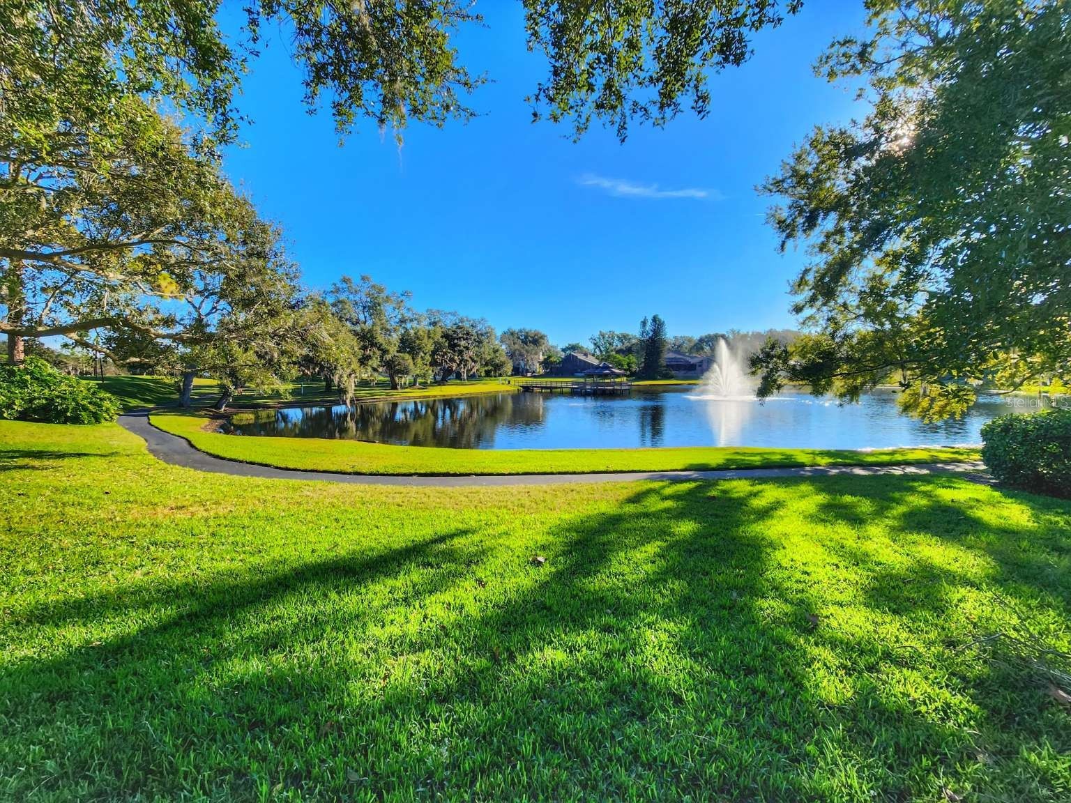 3522 Shoreline Circle Palm Harbor FL 34684 TB8467469 image66