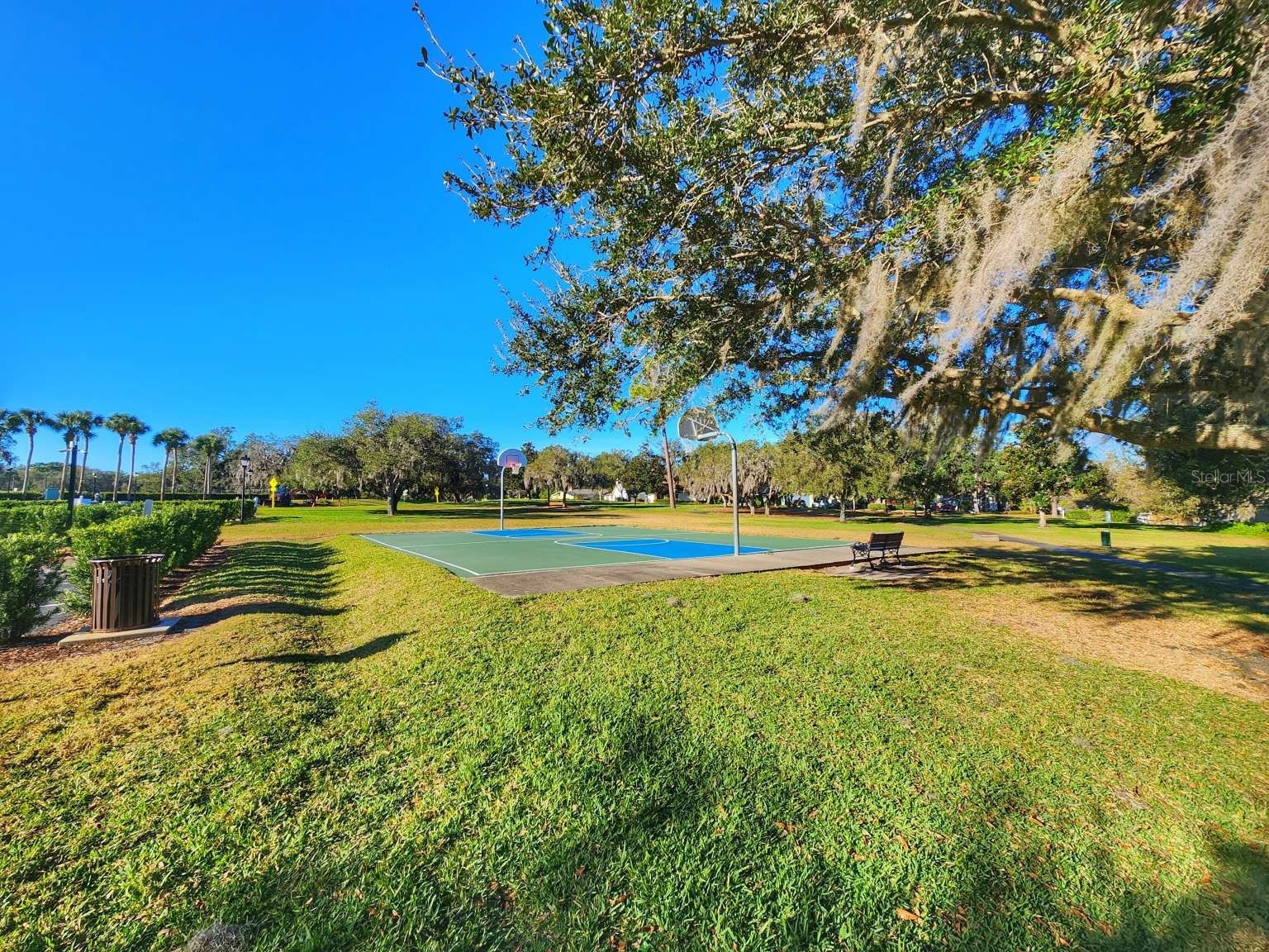 3522 Shoreline Circle Palm Harbor FL 34684 TB8467469 image68