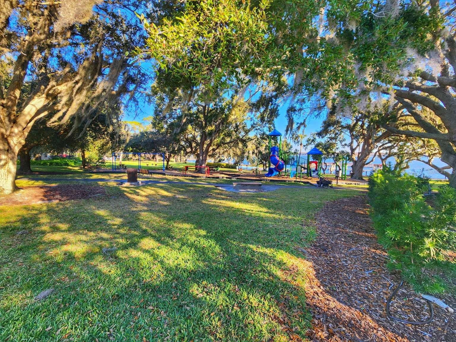 3522 Shoreline Circle Palm Harbor FL 34684 TB8467469 image69