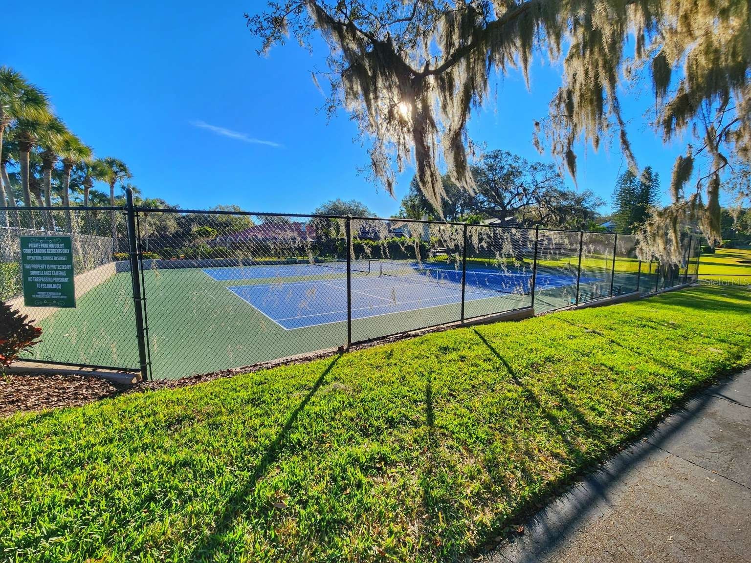 3522 Shoreline Circle Palm Harbor FL 34684 TB8467469 image70