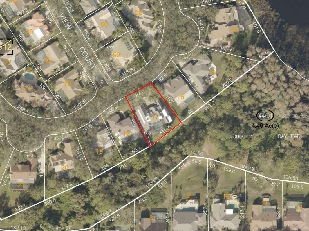 3522 Shoreline Circle Palm Harbor FL 34684 TB8467469 image8
