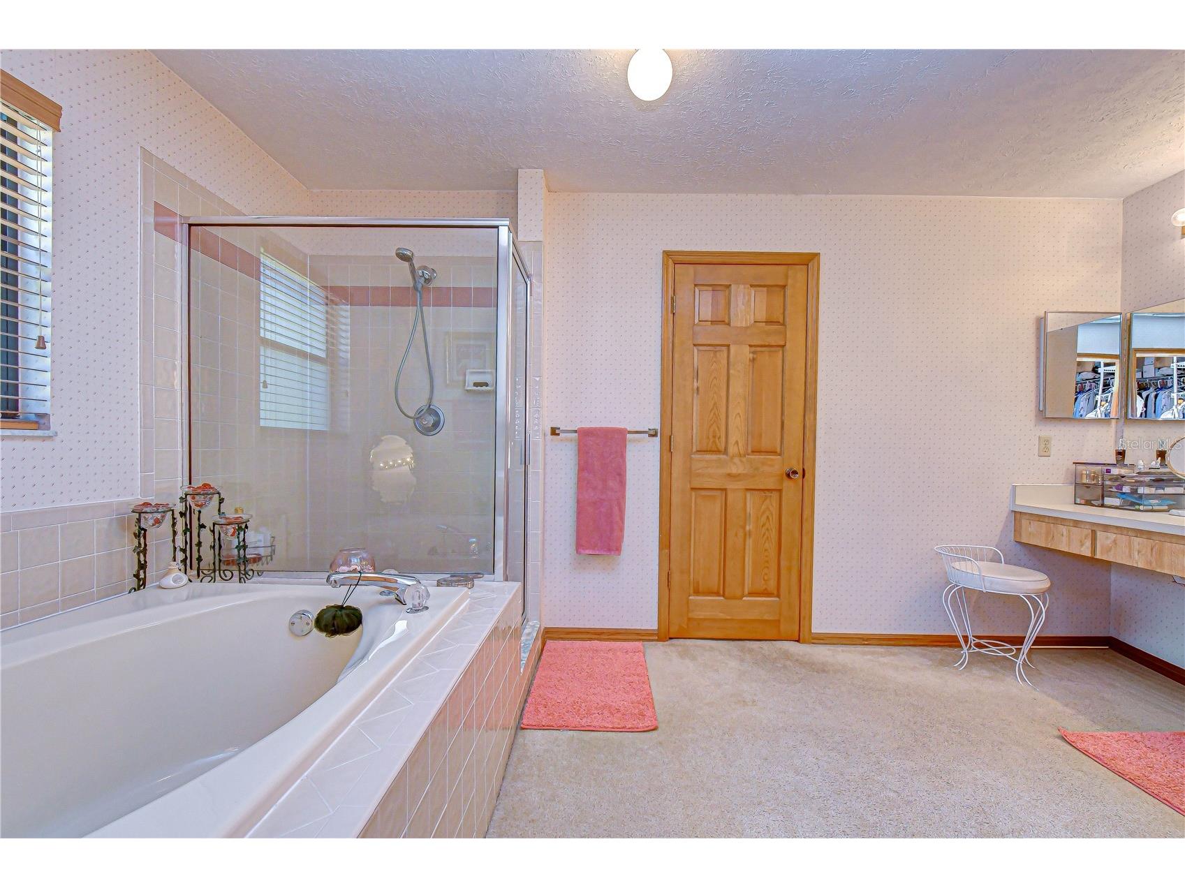 3522 Springville Drive Valrico FL 33596 TB8499663 image15