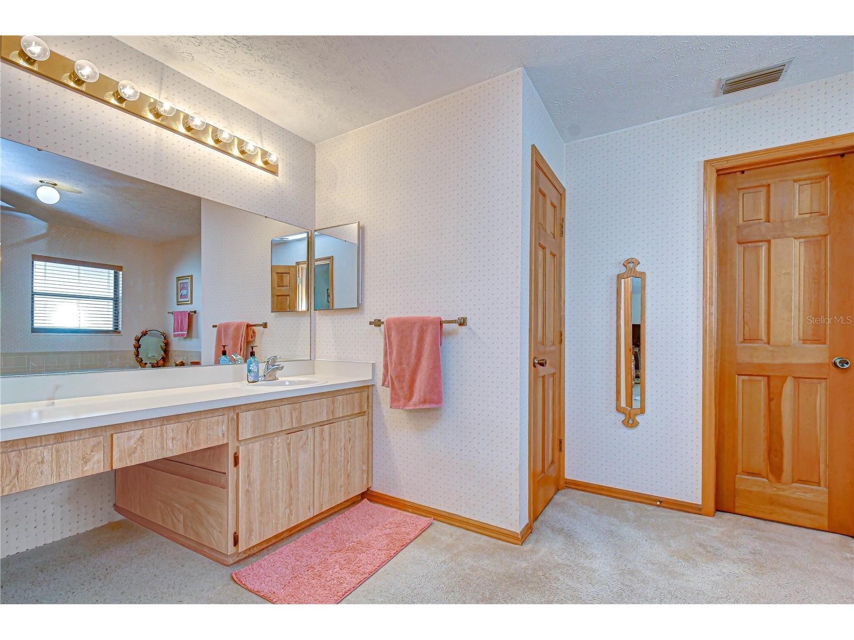 3522 Springville Drive Valrico FL 33596 TB8499663 image16