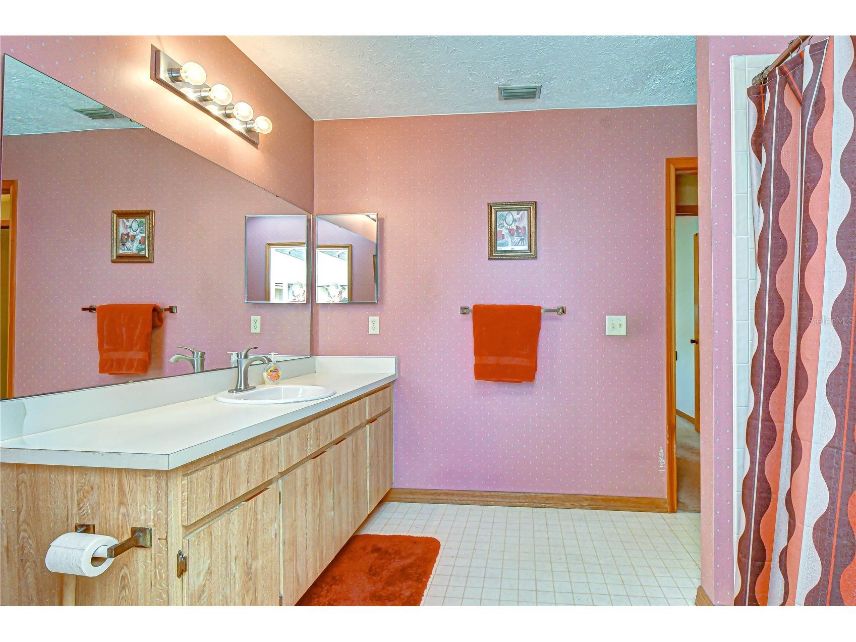 3522 Springville Drive Valrico FL 33596 TB8499663 image19