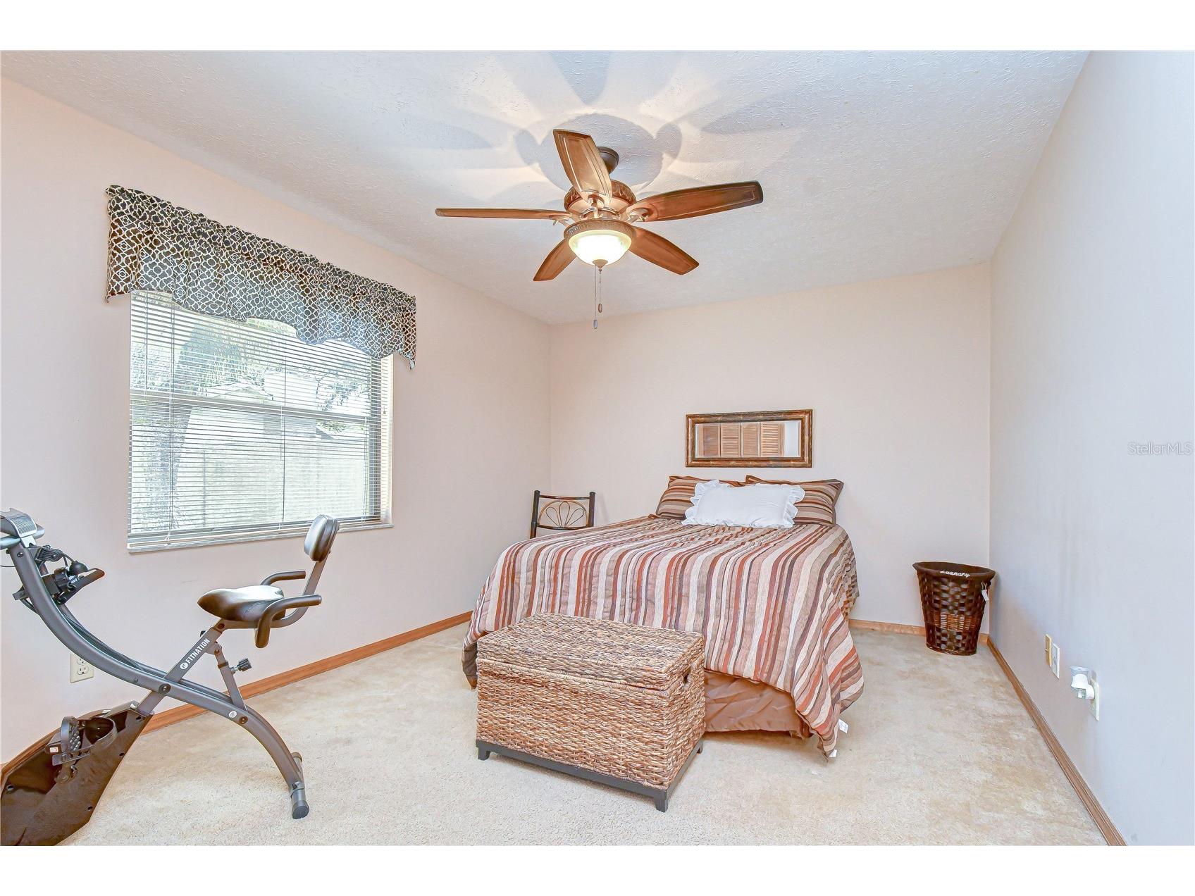 3522 Springville Drive Valrico FL 33596 TB8499663 image20