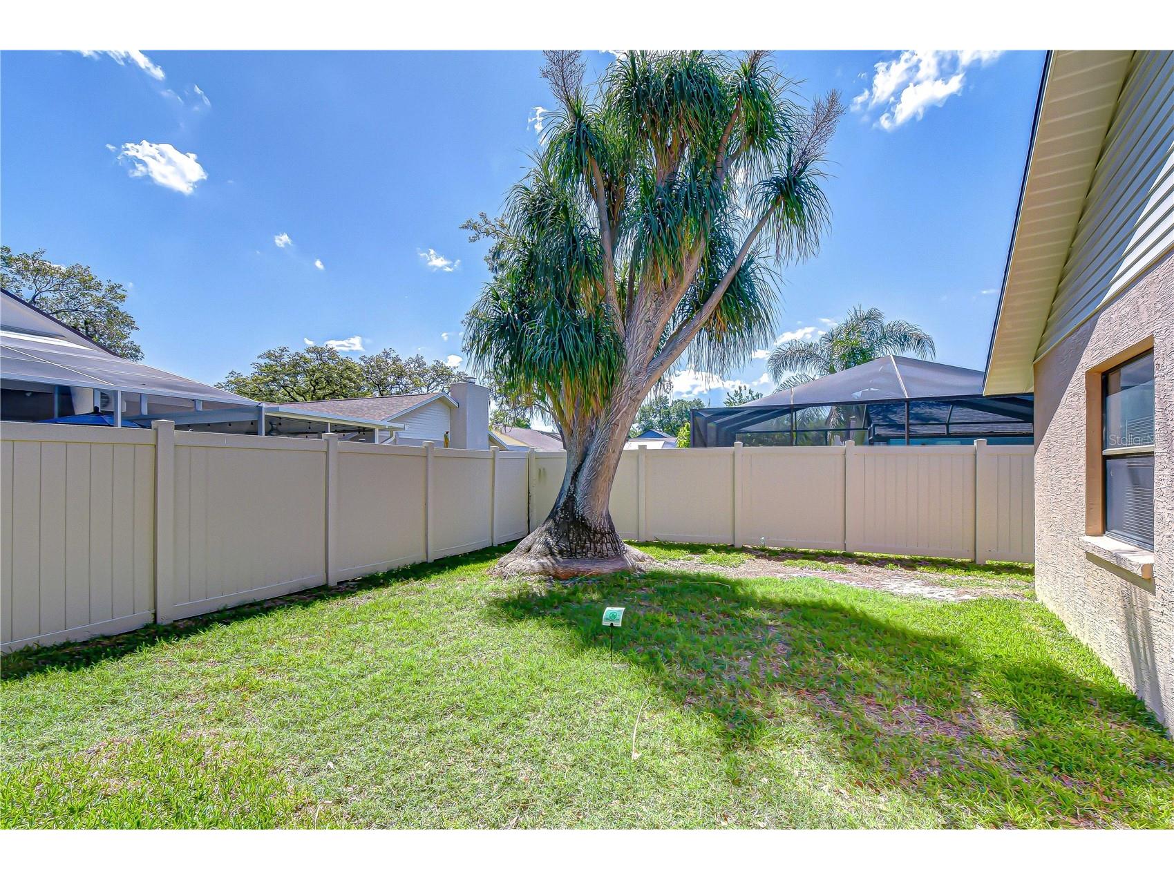 3522 Springville Drive Valrico FL 33596 TB8499663 image27