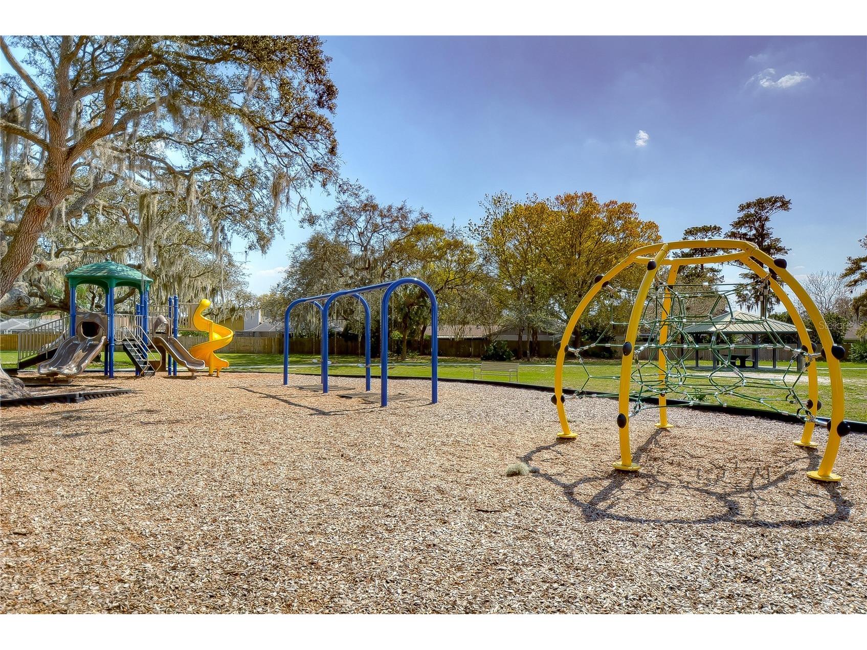 3522 Springville Drive Valrico FL 33596 TB8499663 image35